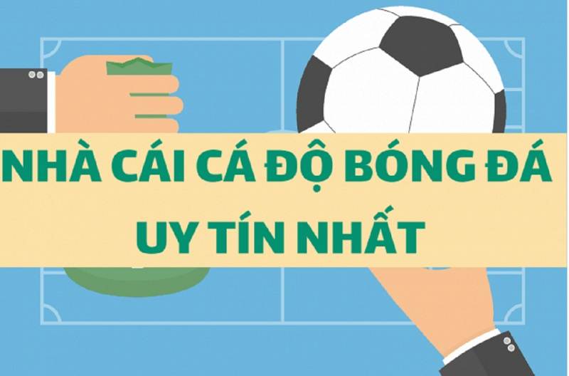 Tìm được trang ca cuoc bong da uy tin quan trọng thế nào?